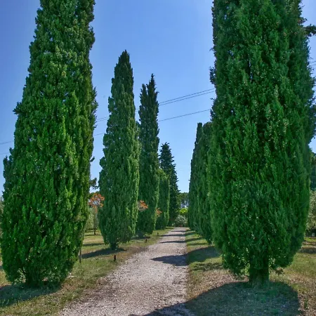 Cozy Farmhouse In With Swimming Pool Casa vacanze Montefano